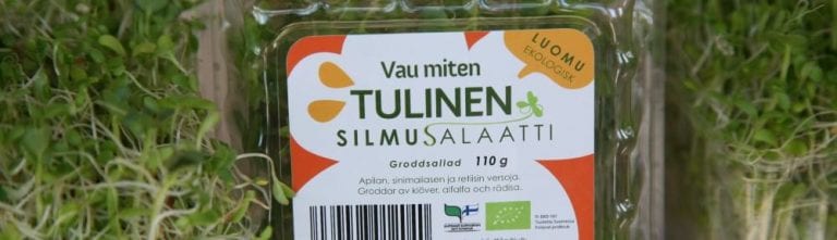 Tulinen possuburgeri silmusalaatilla