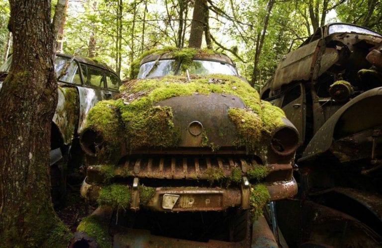 Ruotsalaisesta metsästä löytyi tuhat hylättyä autoa
