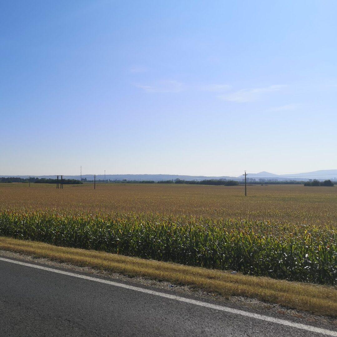 Sähköautolla Italiaan osa 5 - Unkari - maissipelto